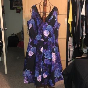 Hydrangea Printed Fit & Flare Dress